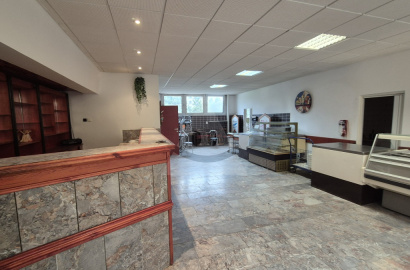 Priestor pre výrobu for sale, Ľadoveň, Martin