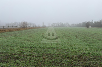 Land with a replacement plot for sale in Nesvady