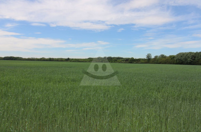 For sale arable land 6,474 m2 in the Bajdelská lúka location, Podunajské Biskupice